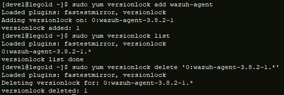 Pratical example with wazuh agent